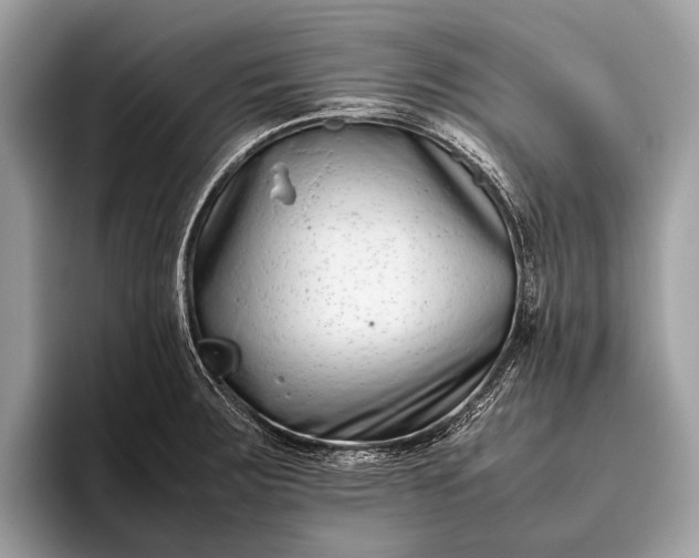 X0000095911283200801251002