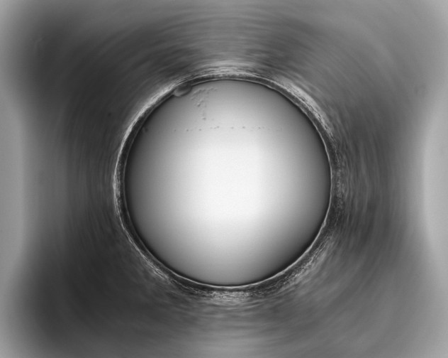 X0000095911285200801251002