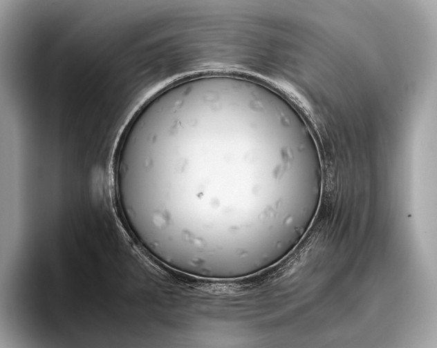 X0000095911287200801251002