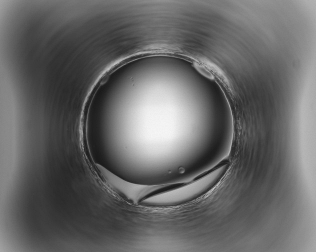 X0000095911288200801251002