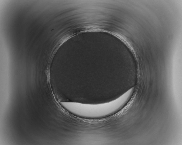 X0000095911289200801251002