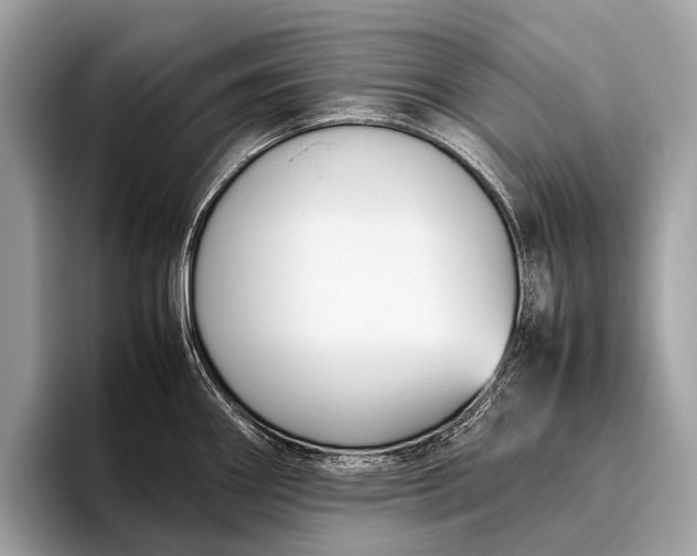 X0000095911290200801251002