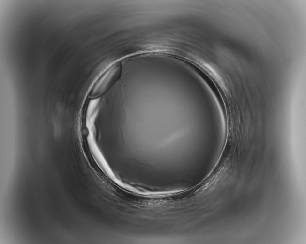 X0000095911291200801251002