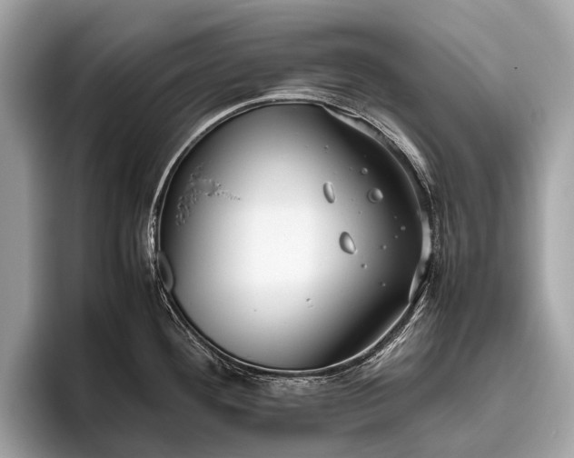 X0000095911292200801251002