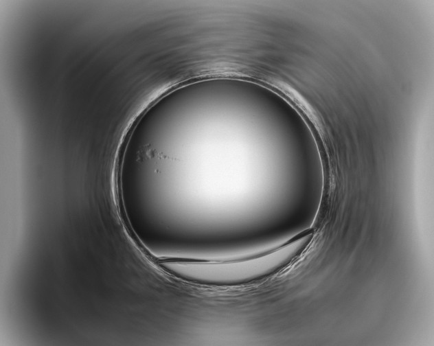 X0000095911293200801251002