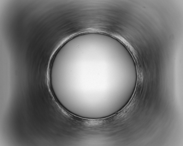 X0000095911294200801251002