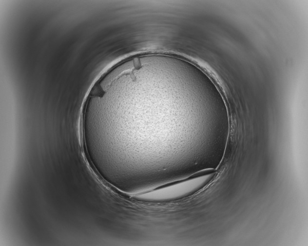 X0000095911295200801251002