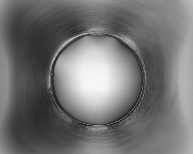 X0000095911296200801251002