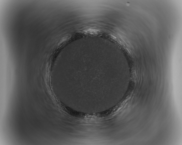 X0000095911297200801251002