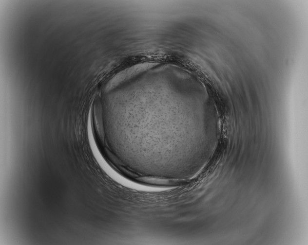 X0000095911298200801251002