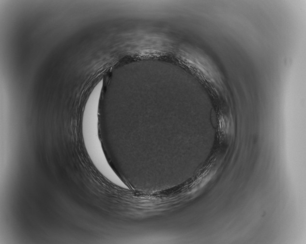 X0000095911300200801251002