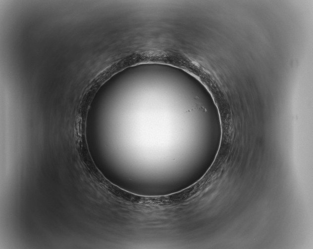 X0000095911301200801251002