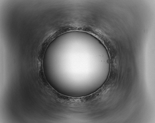 X0000095911302200801251002