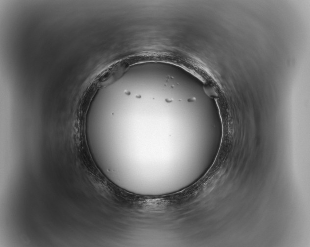 X0000095911304200801251002