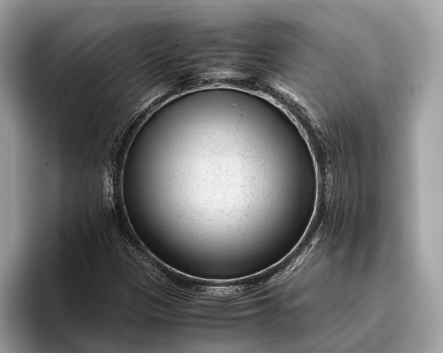 X0000095911305200801251002