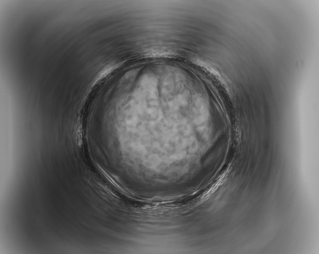 X0000095911306200801251002