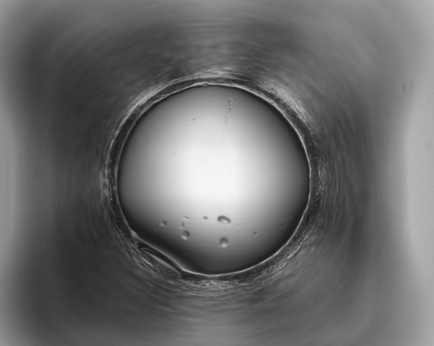 X0000095911308200801251002