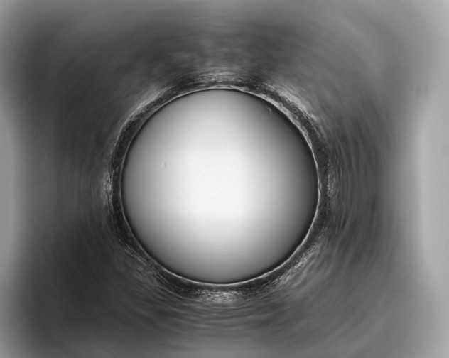 X0000095911309200801251002