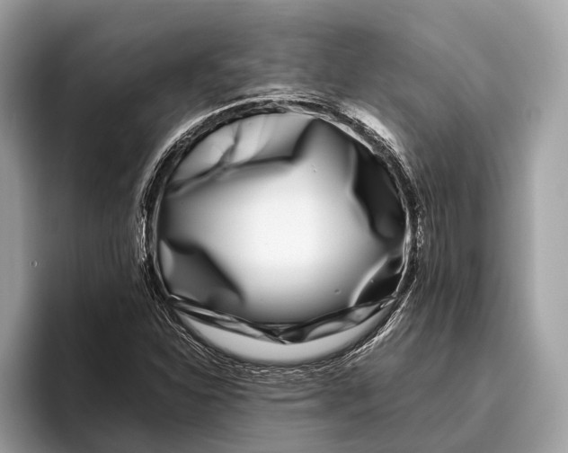 X0000095911310200801251002