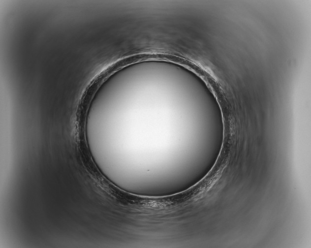 X0000095911311200801251002