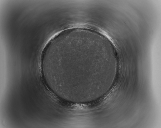 X0000095911312200801251002