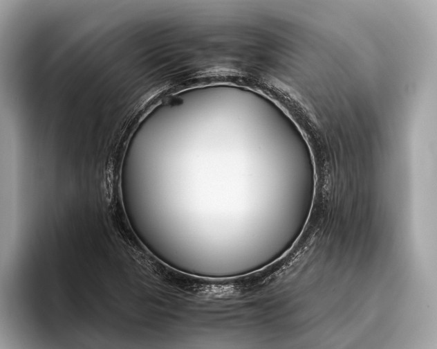 X0000095911313200801251002