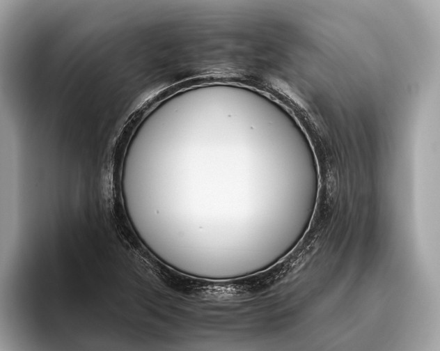 X0000095911315200801251002