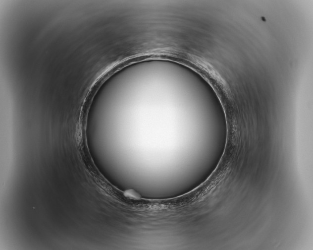 X0000095911316200801251002