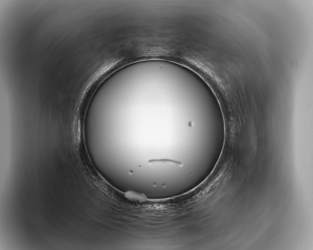 X0000095911317200801251002