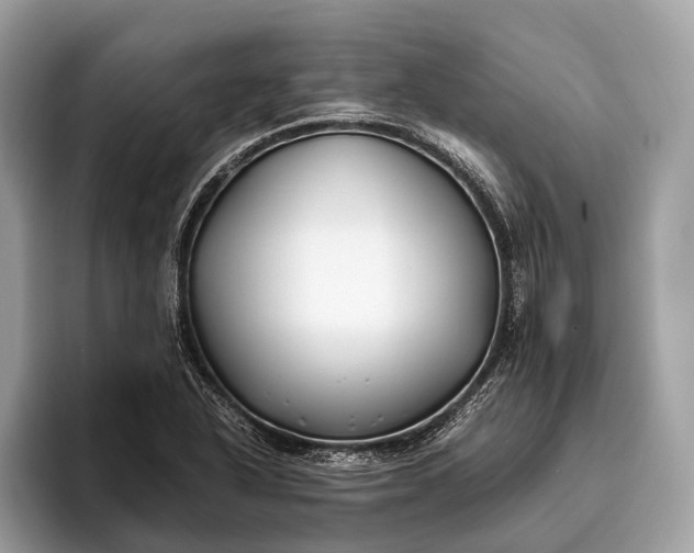 X0000095911318200801251002