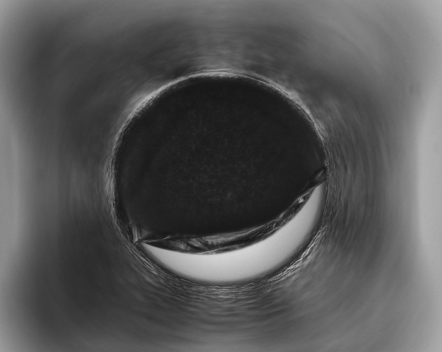 X0000095911319200801251002