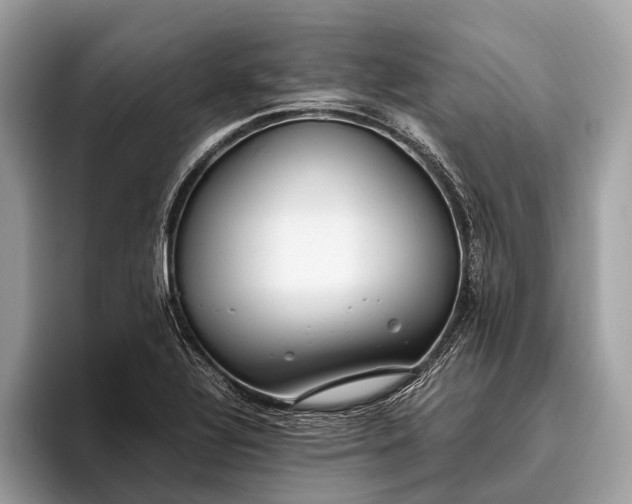 X0000095911320200801251002