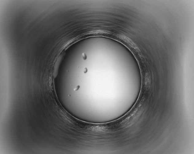 X0000095911321200801251002