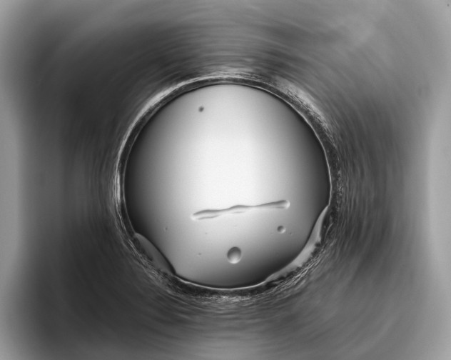 X0000095911324200801251002