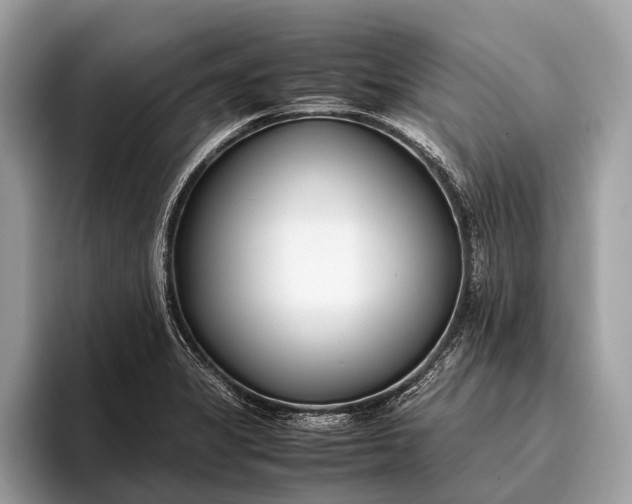 X0000095911325200801251002