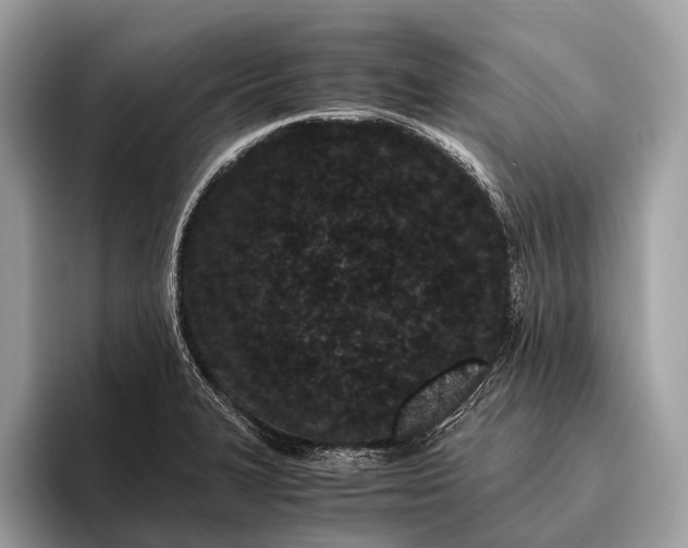 X0000095911327200801251002