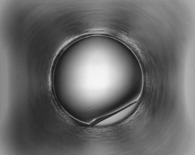 X0000095911328200801251002