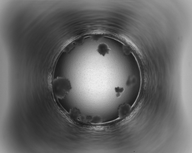 X0000095911329200801251002