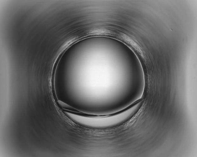 X0000095911330200801251002