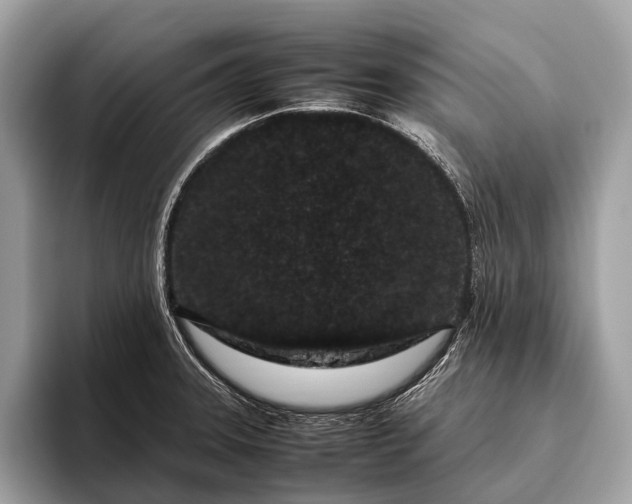 X0000095911331200801251002