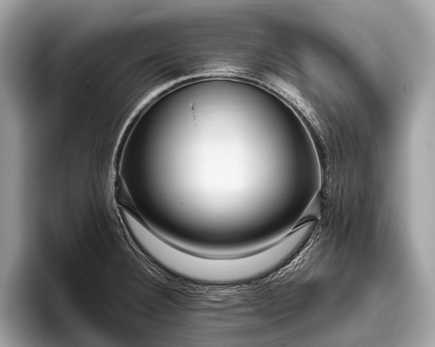 X0000095911332200801251002