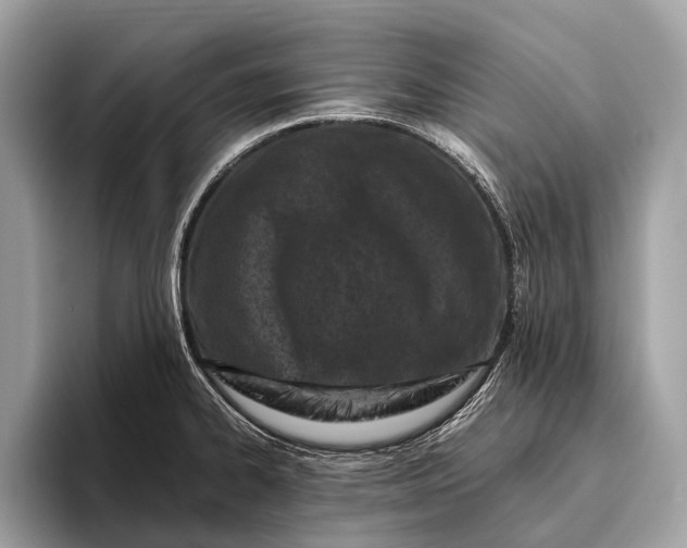 X0000095911334200801251002