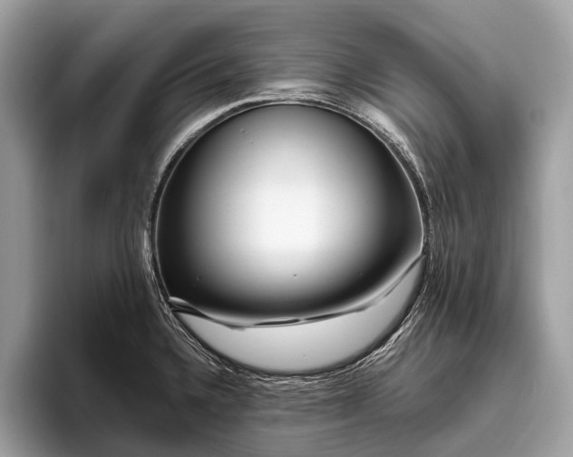 X0000095911336200801251002