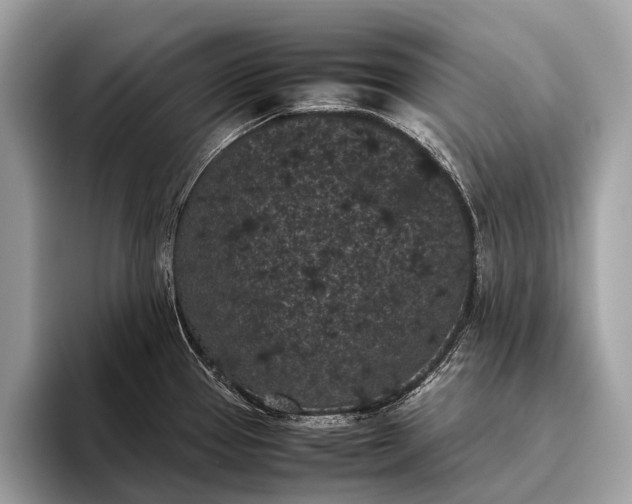 X0000095911337200801251002