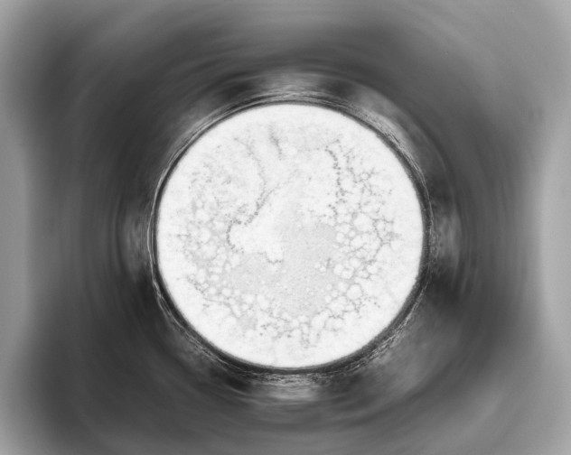 X0000095911338200801251002