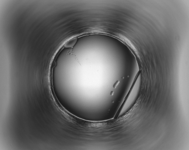 X0000095911339200801251002