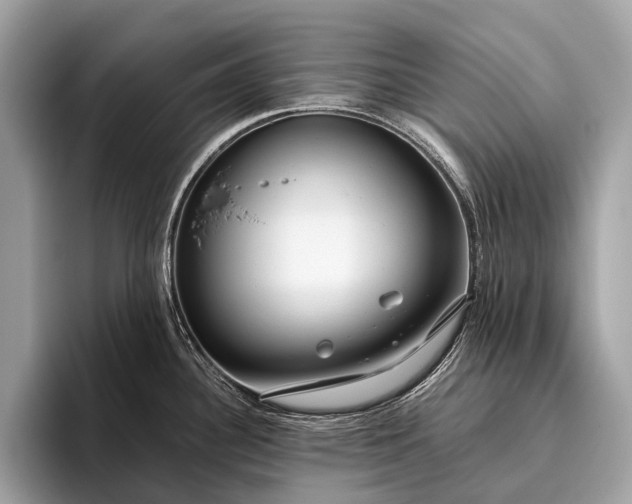 X0000095911340200801251002