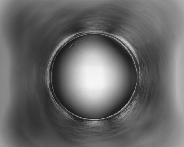 X0000095911341200801251002