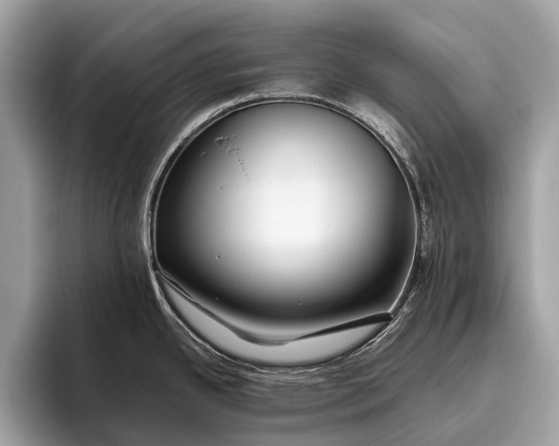 X0000095911342200801251002