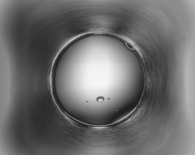 X0000095911343200801251002